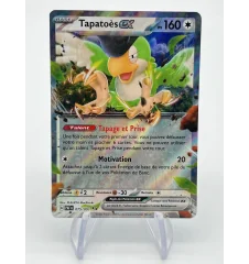 Tapatoès Ex 075/091