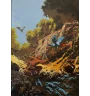 BD Trolls De Troy Tome 1 histoires Trolles