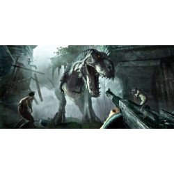 PSP King Kong Cib