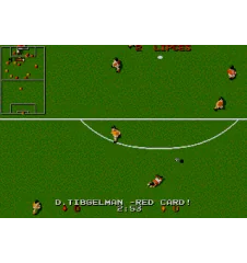 MegaDrive Dino Dini's Soccer Loose
