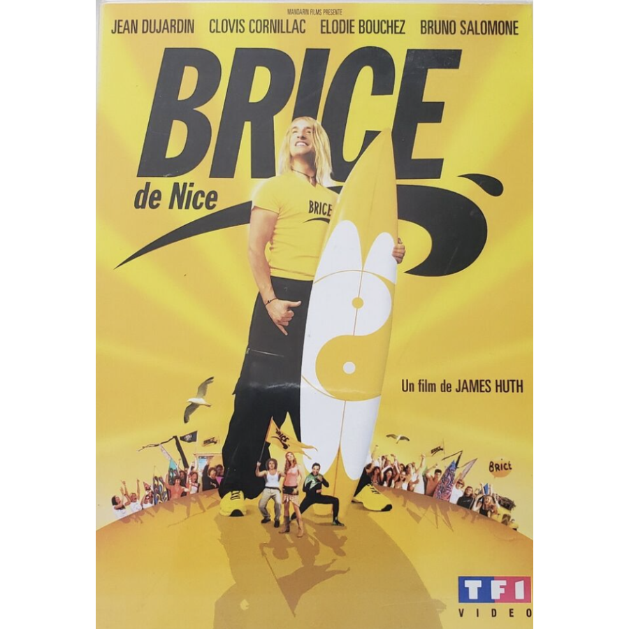 DVD Brice De Nice