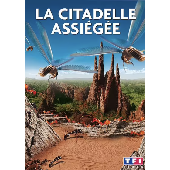 DVD La Citadelle Assiégée