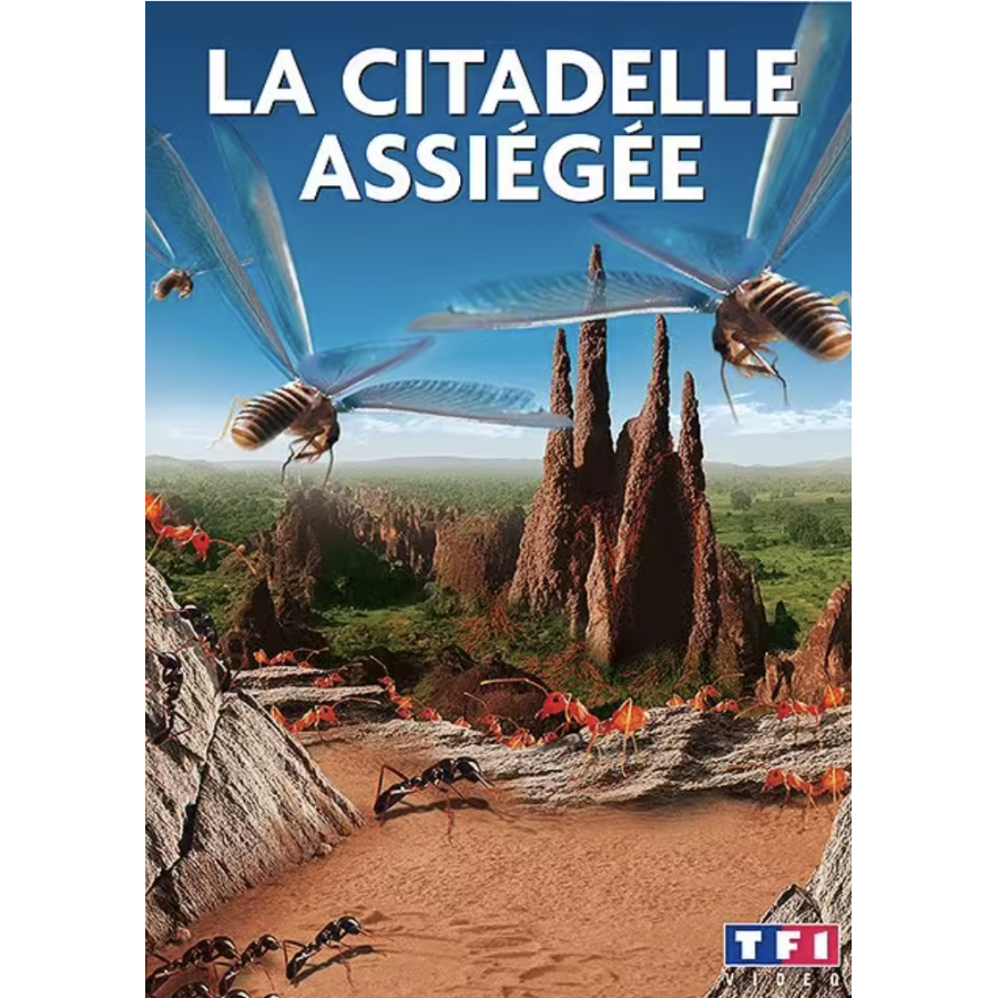 DVD La Citadelle Assiégée