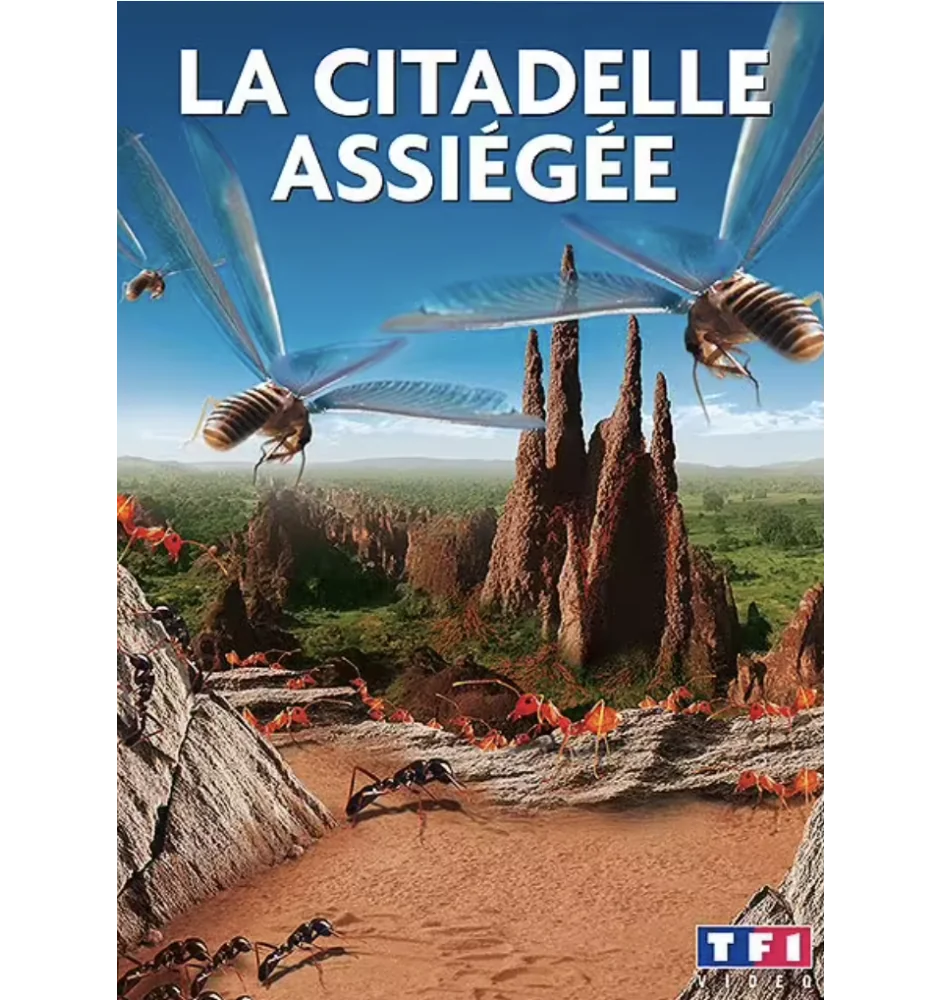 DVD La Citadelle Assiégée