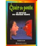 Chair de Poule tome 23 le retour du masque hanté
