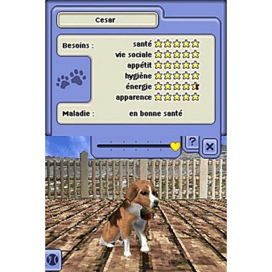 DS Les sims 2 Animaux & Cie Sn