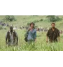 DVD Blood Diamond