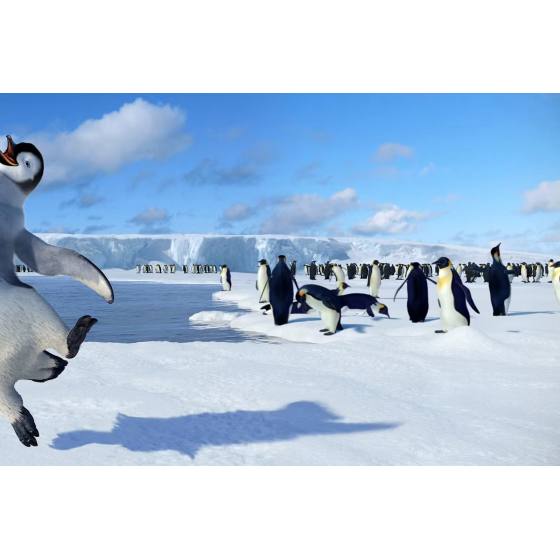 DVD Happy Feet