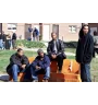 DVD The Wire Fourth Season