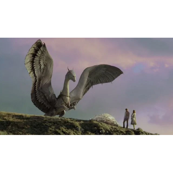 DVD Eragon