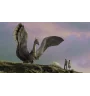 DVD Eragon