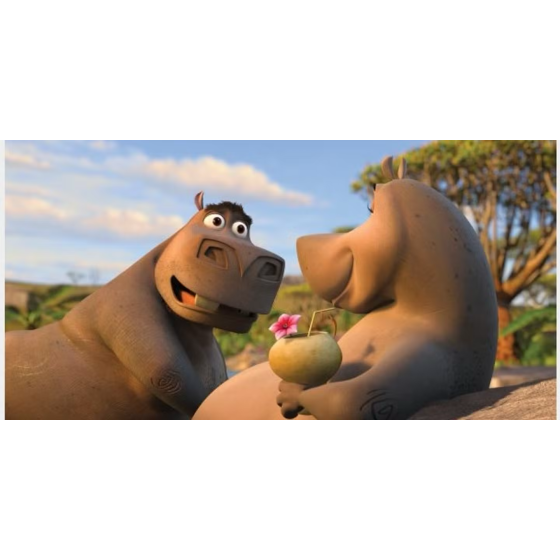 DVD Madagascar 2