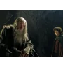 DVD Le Seigneur Des Anneaux La Communauté De l'Anneau
