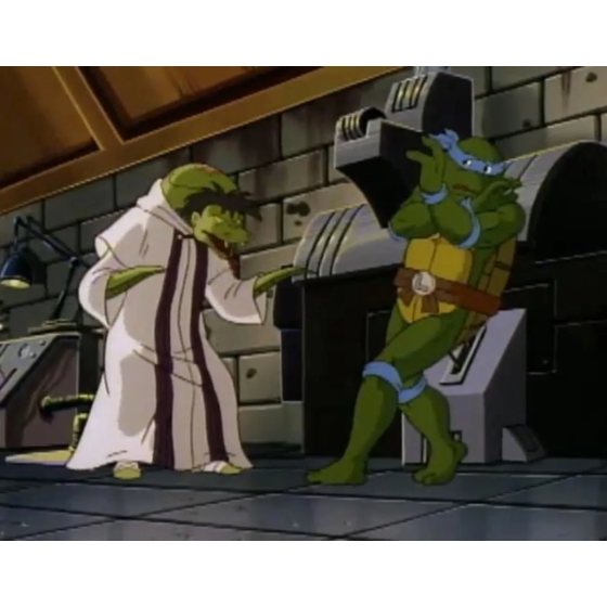 DVD Tortues Ninja La Vengeance Du Serpent