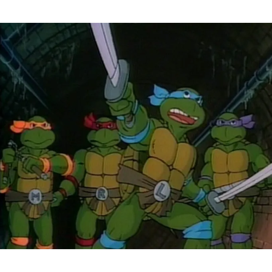 DVD Tortues Ninja La Vengeance Du Serpent