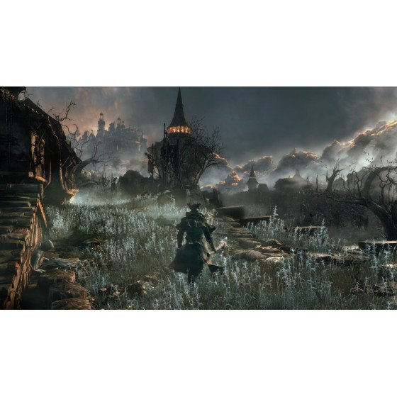 PS4 Bloodborne cib