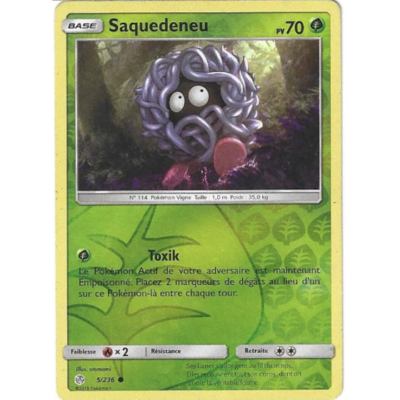 Saquedeneu 5/236