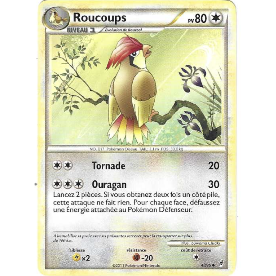 Roucoups 48/95
