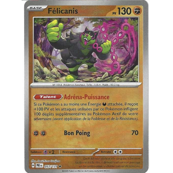 Félicanis 057/131 Reverse...