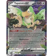 Tapatoès Ex 169/193