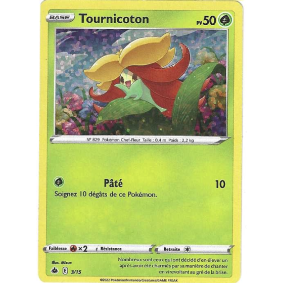 Tournicoton 3/15 Holo