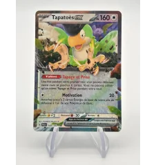Tapatoès Ex 169/193