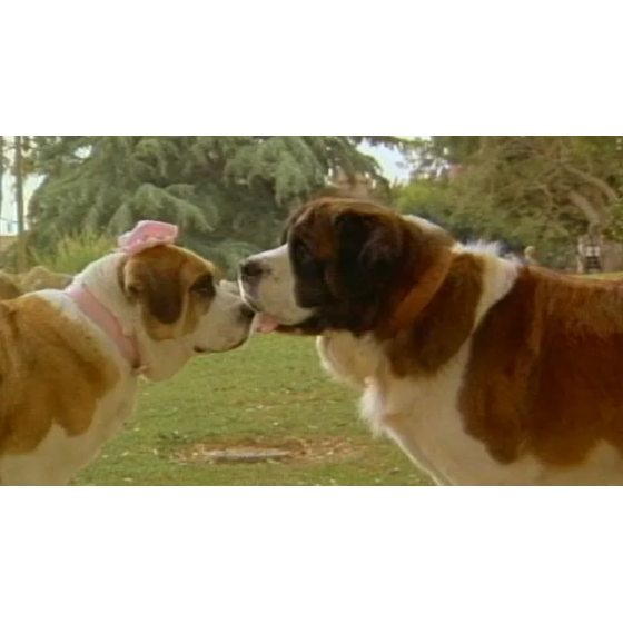 VHS Beethoven 2