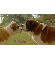 VHS Beethoven 2