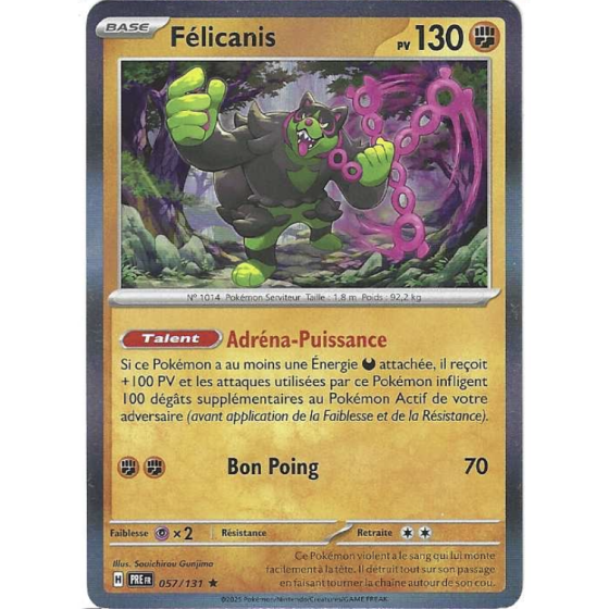 Félicanis 057/131 Holo