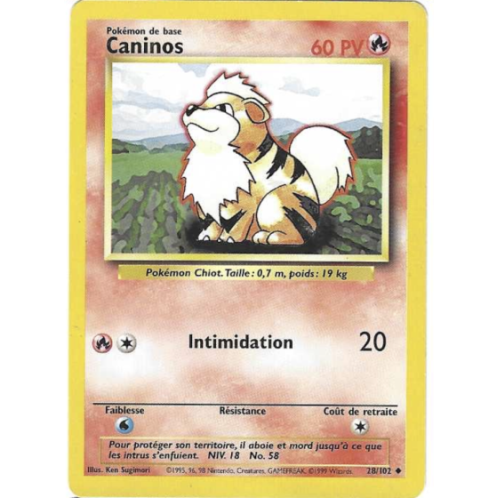 Caninos 28/102