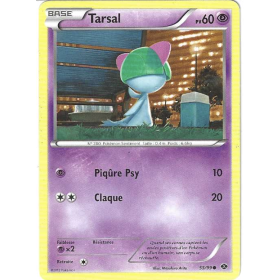 Tarsal 55/99