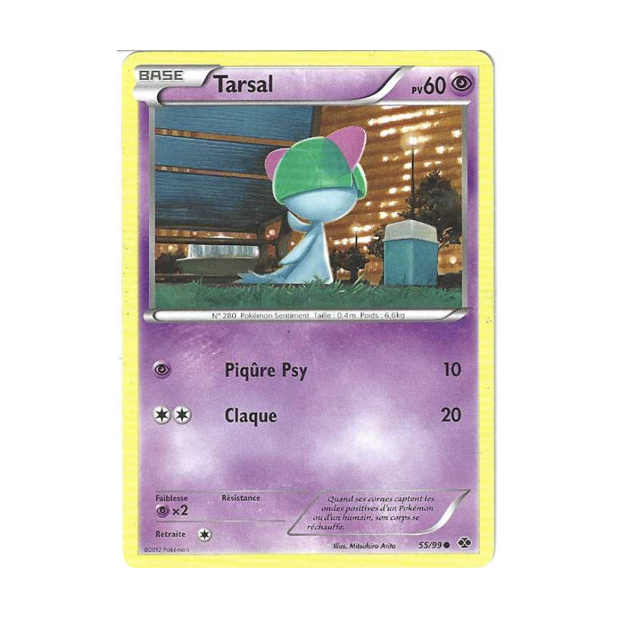 Tarsal 55/99