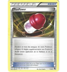 Dresseur Pluspower 11/30