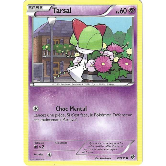 Tarsal 59/135