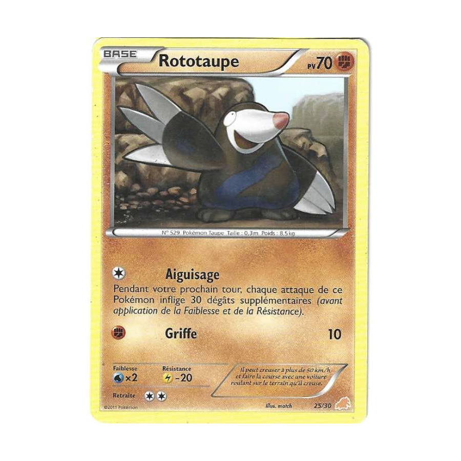 Rototaupe 25/30