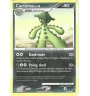 Cacturne 34/106