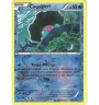 Coquiperl 49/160 Reverse