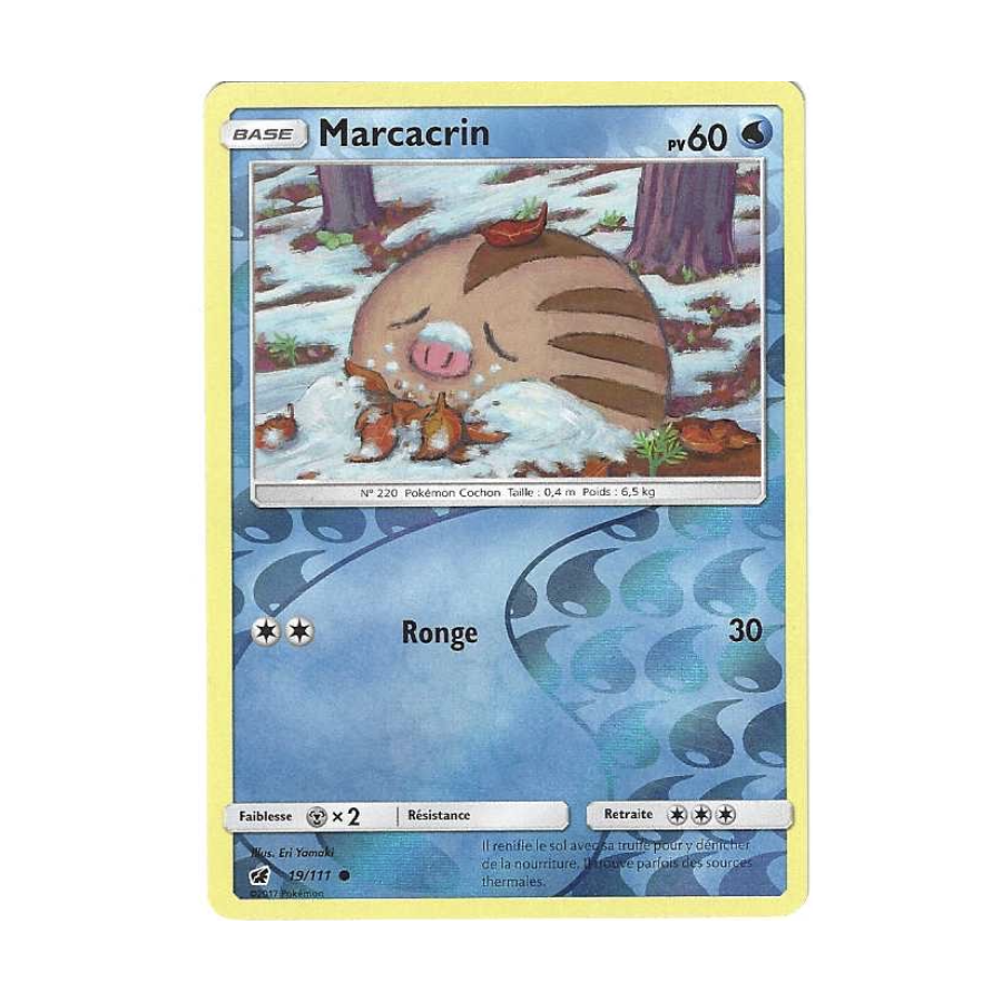 Marcacrin 19/111 Reverse