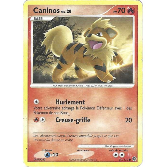 Caninos 89/132