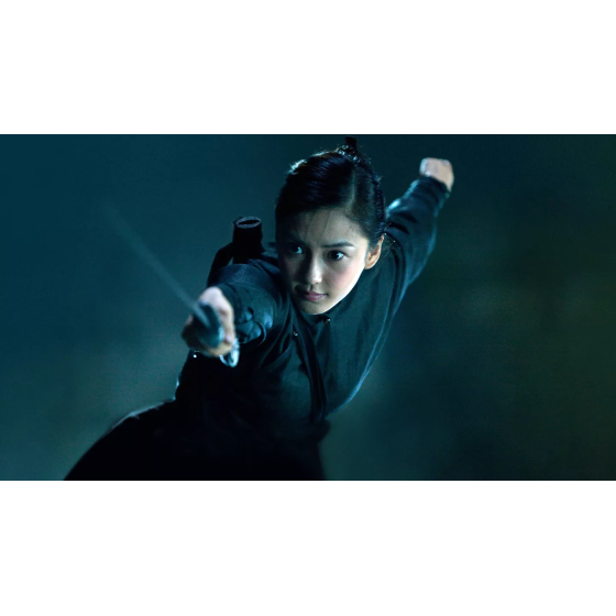 Bluray Tai Chi