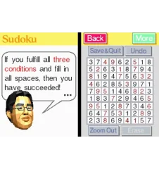 DS Brain Training Loose