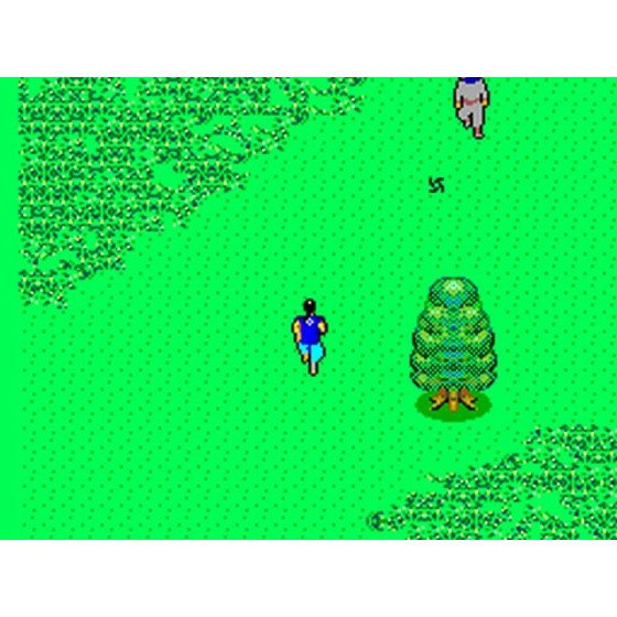 Master system The Ninja Sn