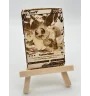 Gravure sur bois : Pokemon Evoli V