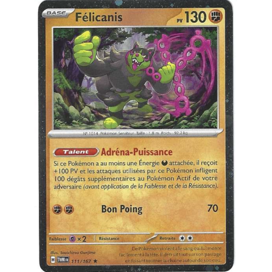 Félicanis 111/167 Holo