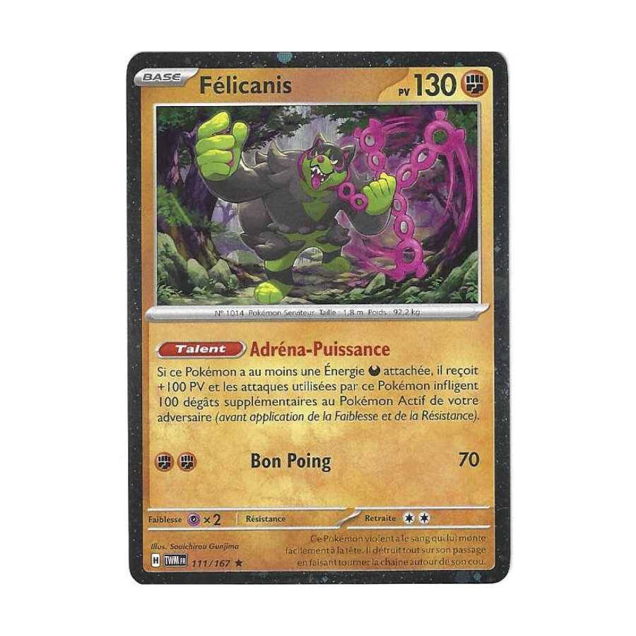 Félicanis 111/167 Holo