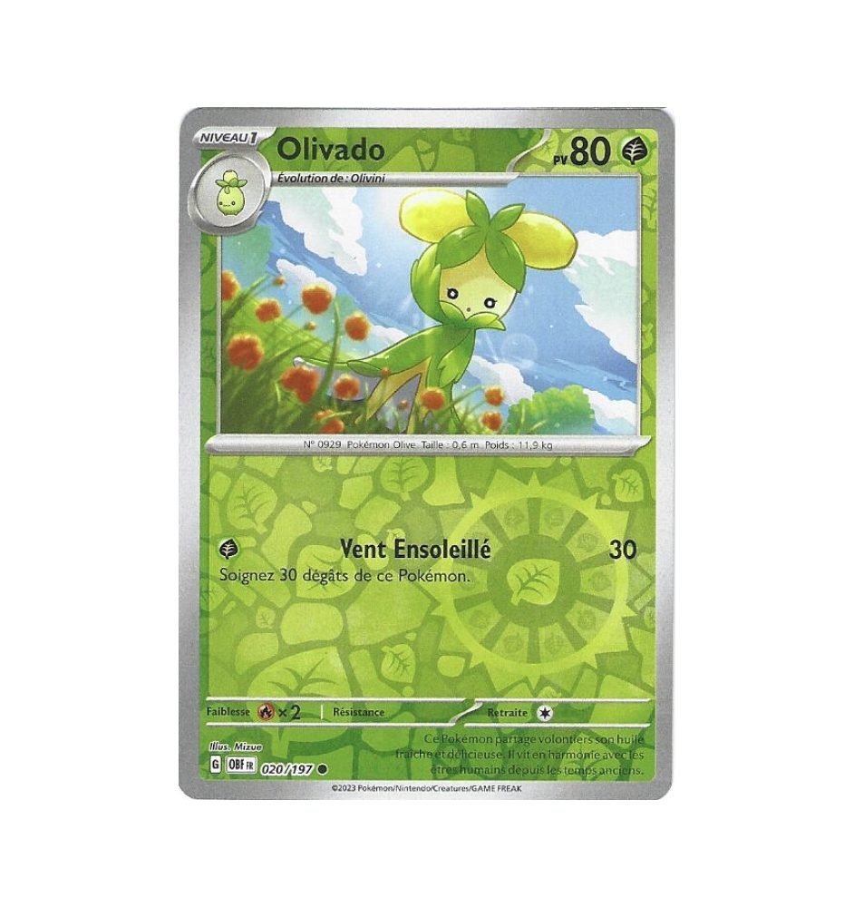 Olivado 020/197 Reverse