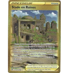 Dresseur Stade En Ruines 215/196