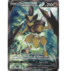 Hachécateur V swsh248