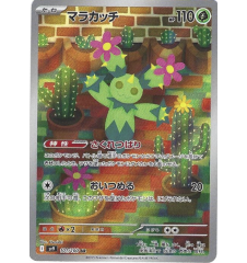 Maracachi 101/100