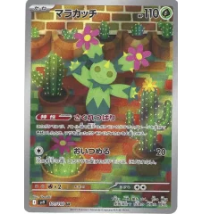 Maracachi 101/100